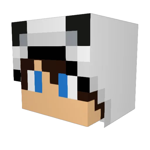 DRandy77 Minecraft avatar head, 3D render