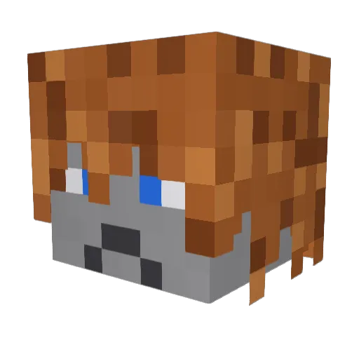 DRblaze55 Minecraft avatar head, 3D render