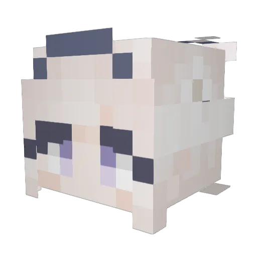 DReadEcho Minecraft avatar head, 3D render