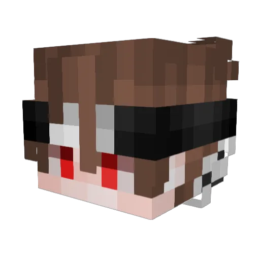 DSCHOOLCQ020 Minecraft avatar head, 3D render