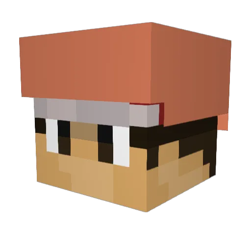 DSCHOOLCQ36 Minecraft avatar head, 3D render