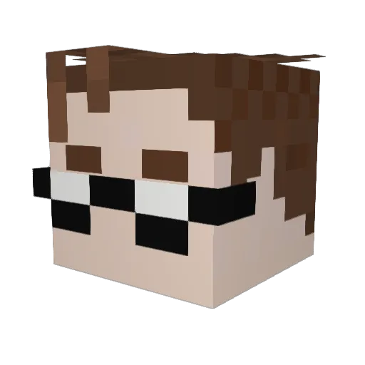 DSD3SIGN Minecraft avatar head, 3D render