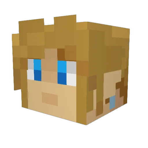 DSSP Minecraft avatar head, 3D render