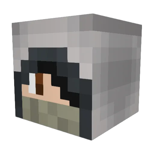 DSTUN Minecraft avatar head, 3D render