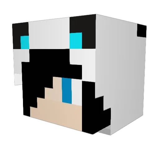 DST_PANDA_STYLE Minecraft avatar head, 3D render