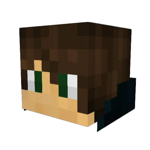 DSW02 Minecraft avatar head, 3D render
