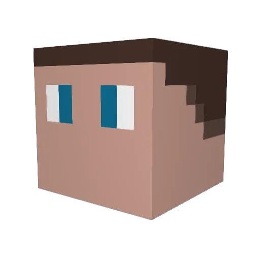 DS_20 Minecraft avatar head, 3D render