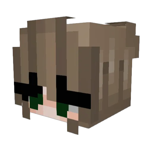 DS_Bender Minecraft avatar head, 3D render