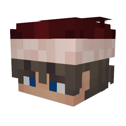 DS_Cody Minecraft avatar head, 3D render