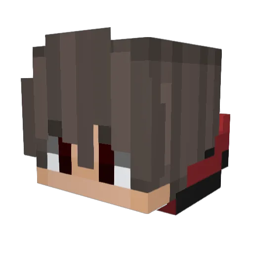 DS_Vexnel Minecraft avatar head, 3D render