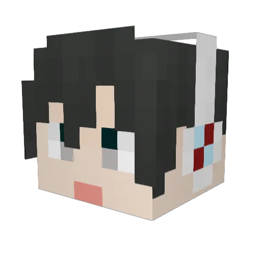 DS_Yang Minecraft avatar head, 3D render