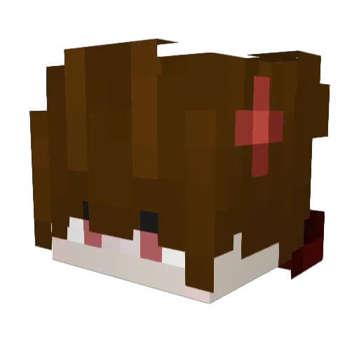 DSchnitzZl Minecraft avatar head, 3D render