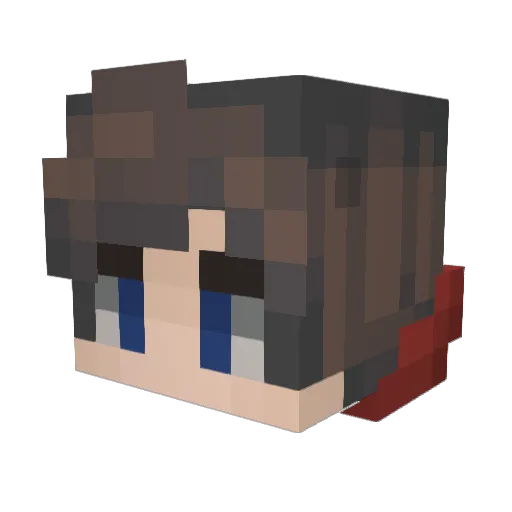 DSchwag15 Minecraft avatar head, 3D render