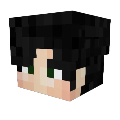 DSequence Minecraft avatar head, 3D render