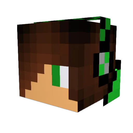 DSiggy Minecraft avatar head, 3D render