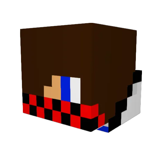 DSignorelli Minecraft avatar head, 3D render