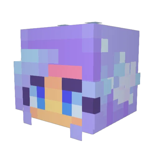 DSmith215 Minecraft avatar head, 3D render
