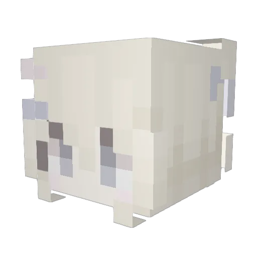DSovecka Minecraft avatar head, 3D render
