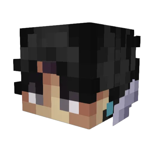 DSseltzer Minecraft avatar head, 3D render