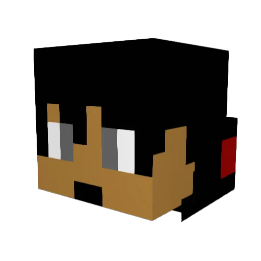 DSync_ Minecraft avatar head, 3D render