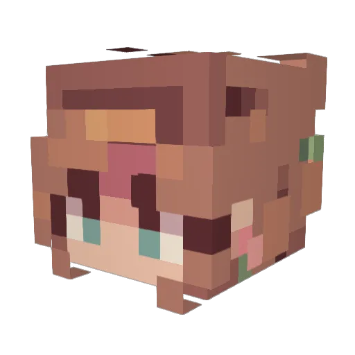 DT77 Minecraft avatar head, 3D render