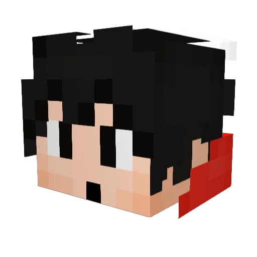 DTB4LIFE Minecraft avatar head, 3D render