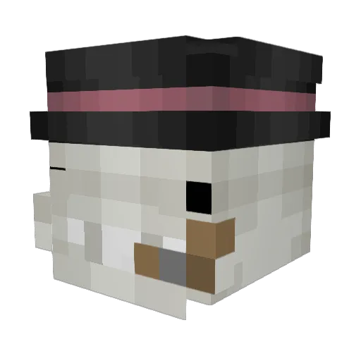 DTBLK Minecraft avatar head, 3D render