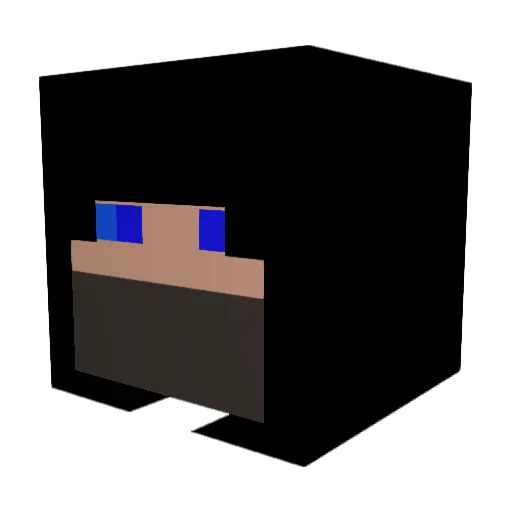 DTDCDE Minecraft avatar head, 3D render