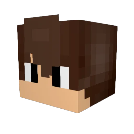 DTGamingMC Minecraft avatar head, 3D render