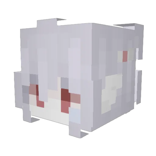 DTIF Minecraft avatar head, 3D render