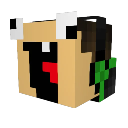 DTM_Rider Minecraft avatar head, 3D render