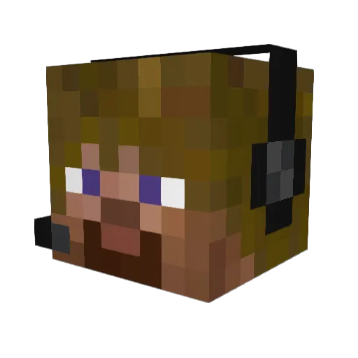 DTPlayer223 Minecraft avatar head, 3D render
