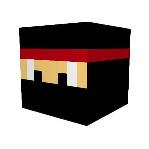 DTSam070 Minecraft avatar head, 3D render