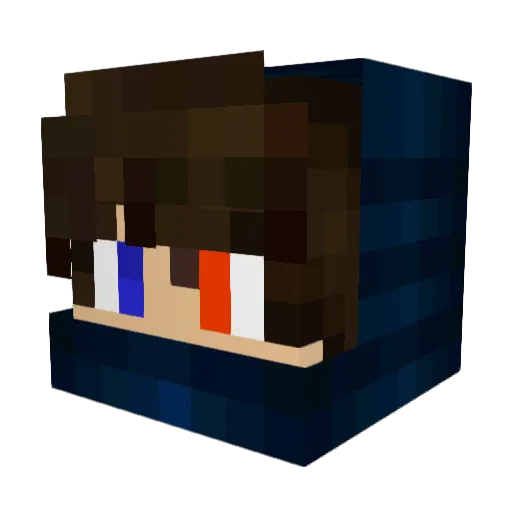 DTXaPITA Minecraft avatar head, 3D render