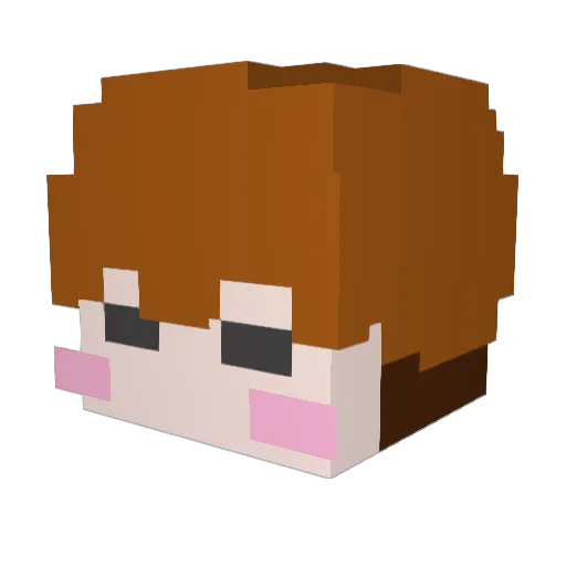 DT_DONGDONG Minecraft avatar head, 3D render