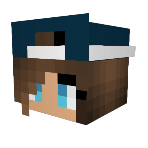 DT_JM_W Minecraft avatar head, 3D render