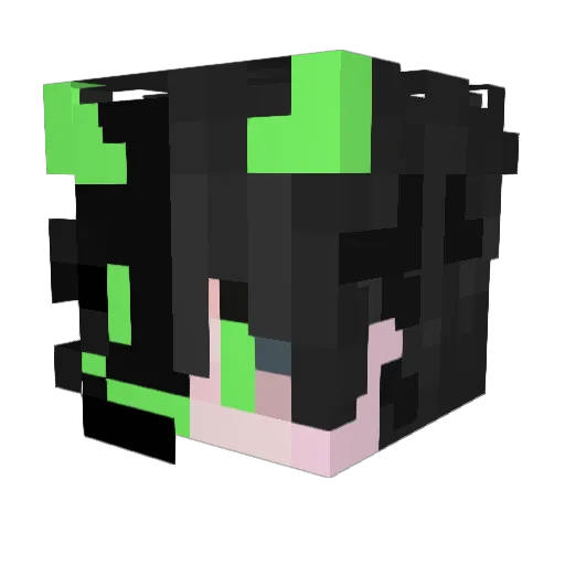 DTacTica1 Minecraft avatar head, 3D render