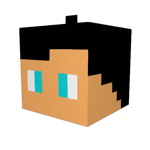 DTannerG Minecraft avatar head, 3D render