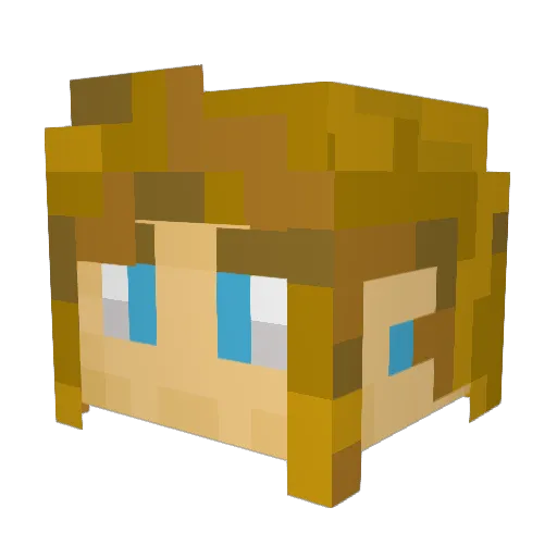 DTipple11 Minecraft avatar head, 3D render