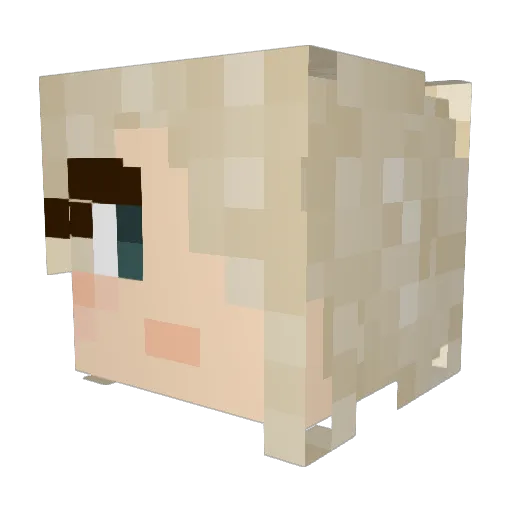 DUBWUBDUBWUB Minecraft avatar head, 3D render