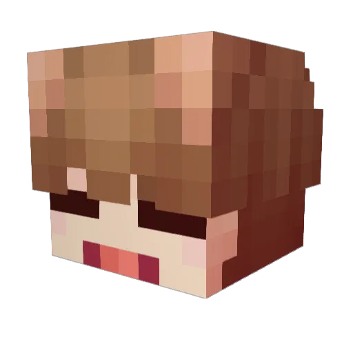 DUCKGAE Minecraft avatar head, 3D render
