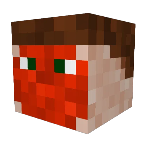 DUCKTOWNGOON Minecraft avatar head, 3D render