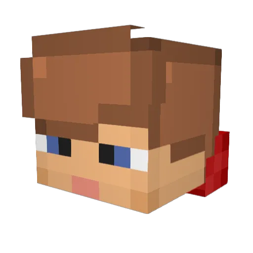 DUCKmen5295 Minecraft avatar head, 3D render
