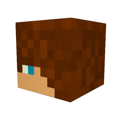 DUDE6583 Minecraft avatar head, 3D render