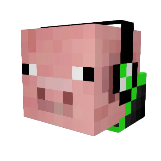 DUDESTAR20 Minecraft avatar head, 3D render