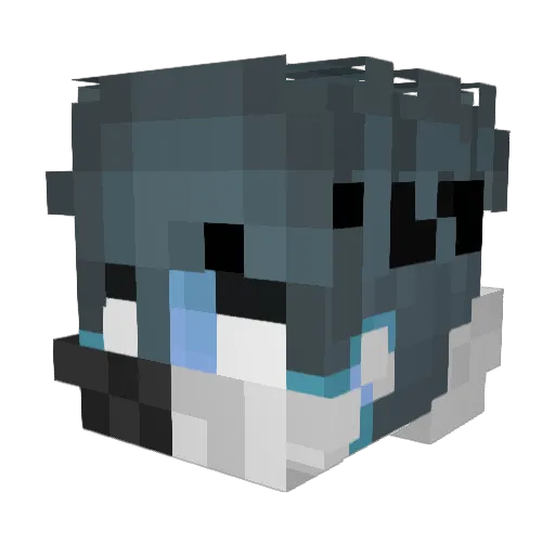 DUDUPSON Minecraft avatar head, 3D render