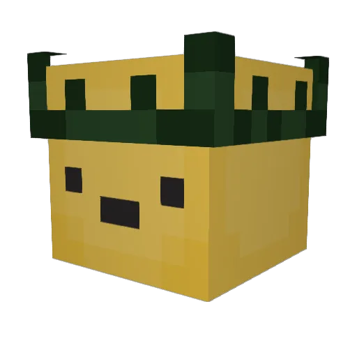 DUDZIUU Minecraft avatar head, 3D render