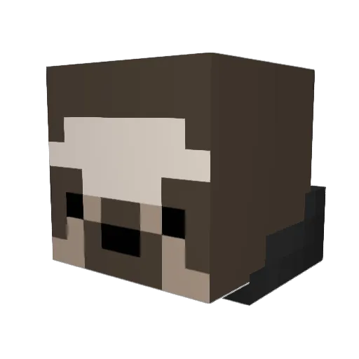 DUD_OBLIVION Minecraft avatar head, 3D render
