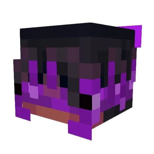 DUEFIEBER1442 Minecraft avatar head, 3D render