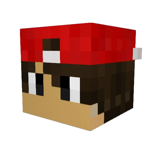 DUGGAL1 Minecraft avatar head, 3D render
